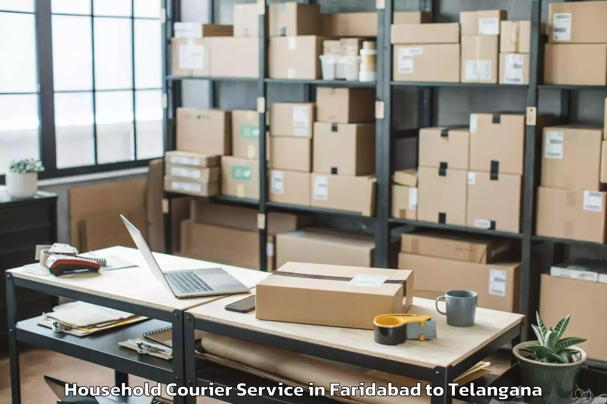 Top Faridabad to Nellikuduru Household Courier Available